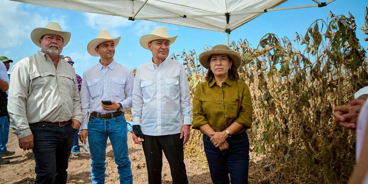 Sonora lidera crecimiento agrícola del norte del país, destaca Alfonso Durazo